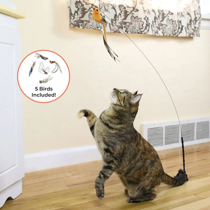 🐶The Creawel® Interactive Bird Simulation Cat Toy Set