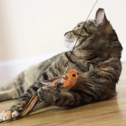 🐶The Creawel® Interactive Bird Simulation Cat Toy Set