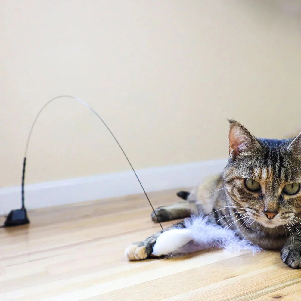 🐶The Creawel® Interactive Bird Simulation Cat Toy Set