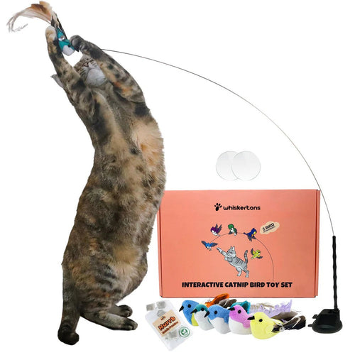 🐶The Creawel® Interactive Bird Simulation Cat Toy Set